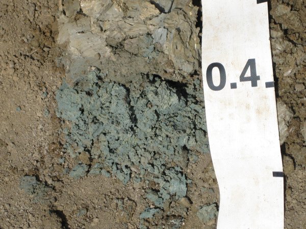 Gley colours in soil profile
